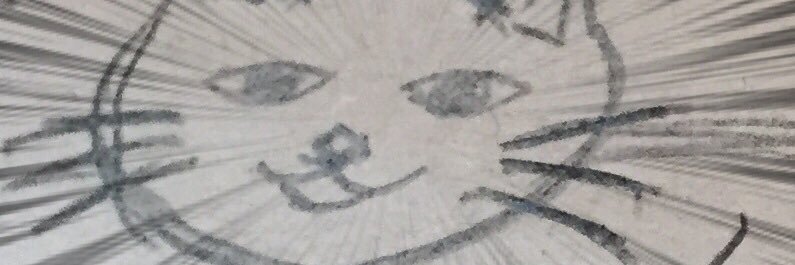 scaercrow's profile banner image