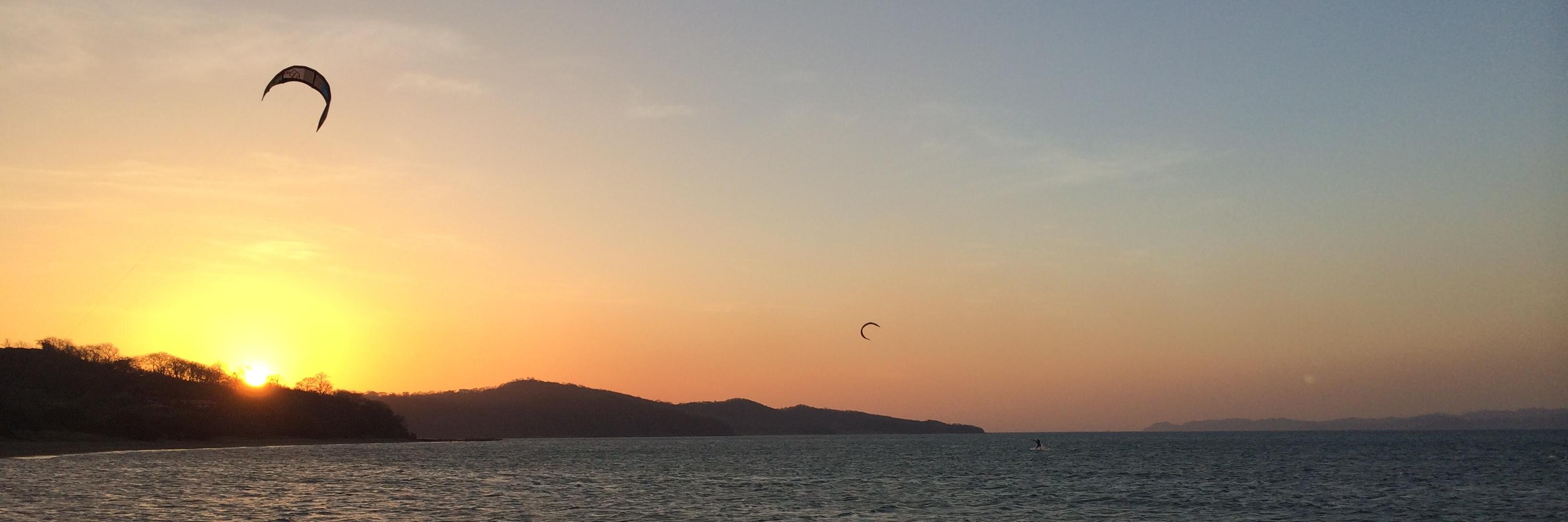 Ingrid Ødegaard banner