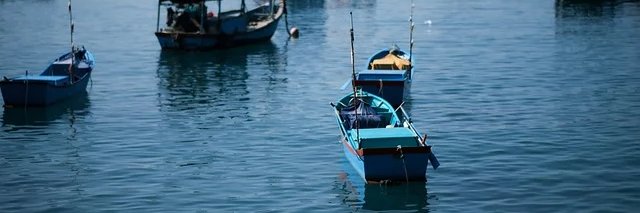 Tran Nhan Sam banner