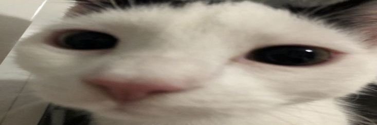 anavalentinapz's profile banner image