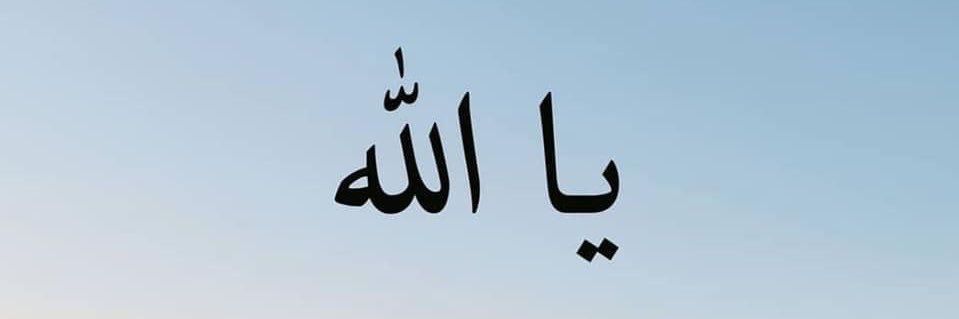 Lex banner