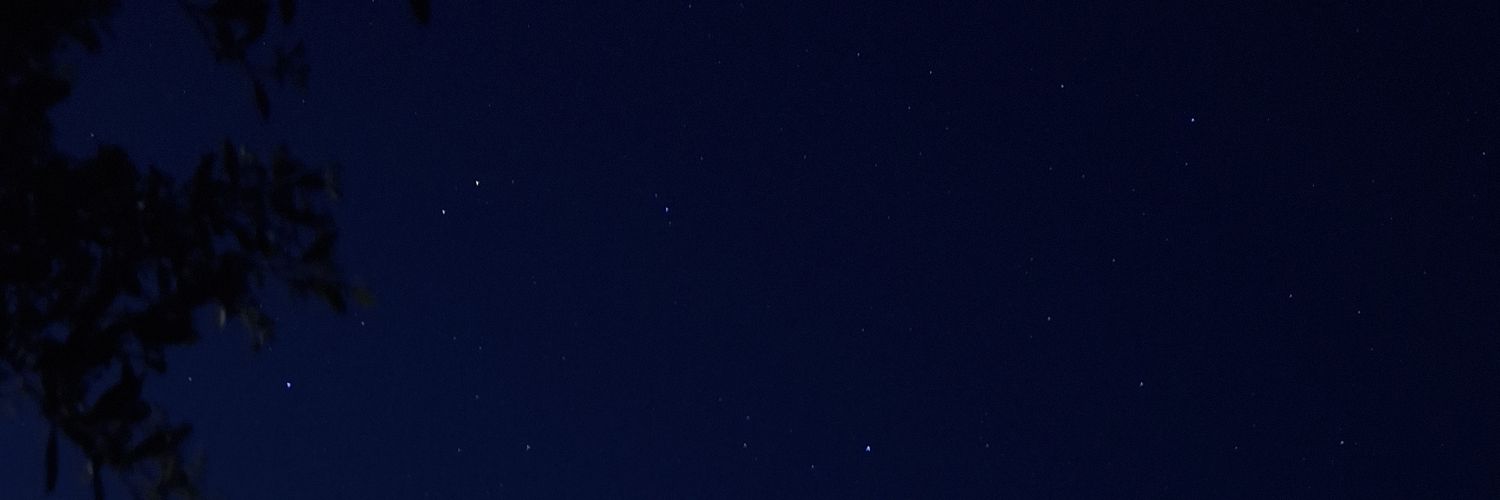 Petal Twinkle's banner