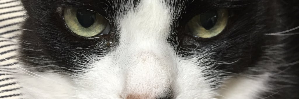 5a5abigk8's profile banner image