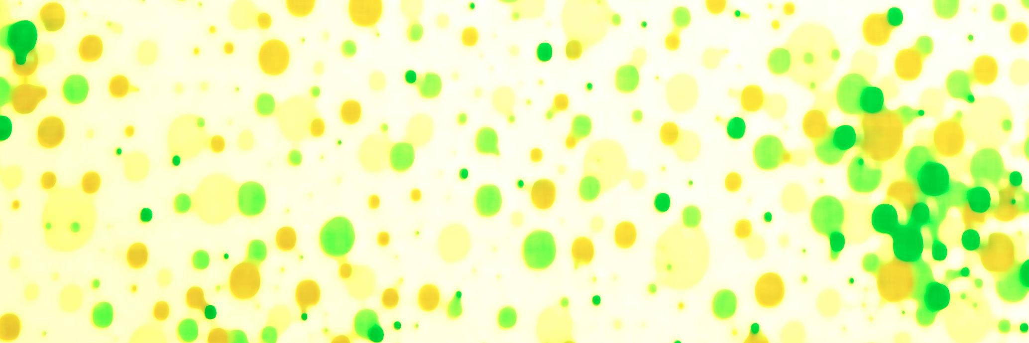 YoshiokaSbot's profile banner image