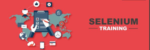 sleniumclasses Profile Banner