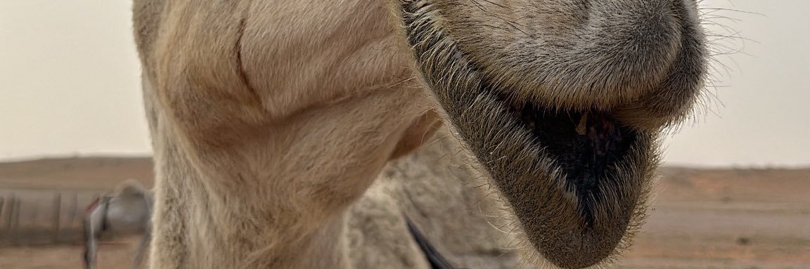 User5II's profile banner image
