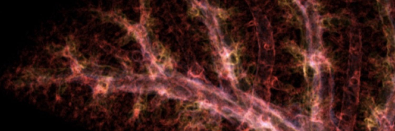 André Forjaz banner