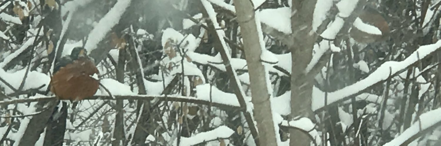 GibsonLeea's profile banner image