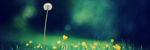 thu vu banner