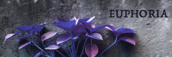 TeerawkOfficial Profile Banner