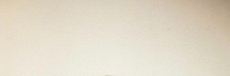 en banner