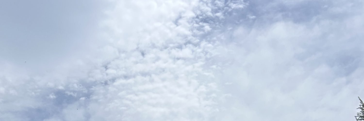 ganbare_hanamar's profile banner image
