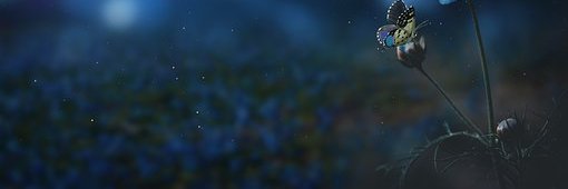 matinTD(💙,🧡)❤️ banner