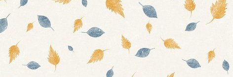 kind(💙,🧡). banner