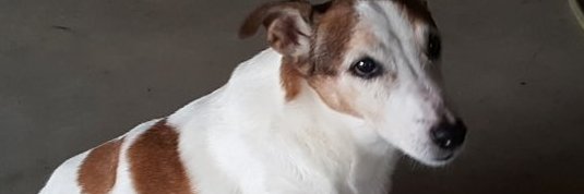 AngelaBee's profile banner image