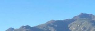 deen banner
