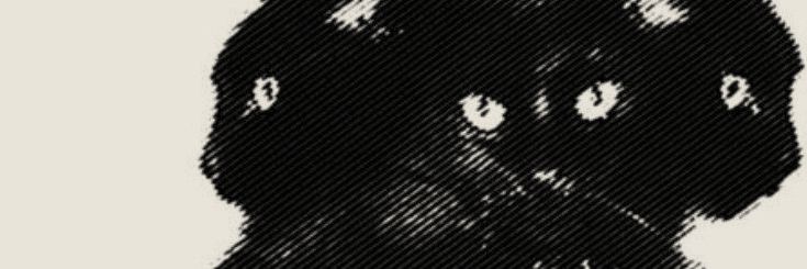 mo_mo_m0_mo_mo's profile banner image