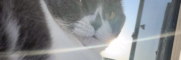 TkwKai Profile Banner