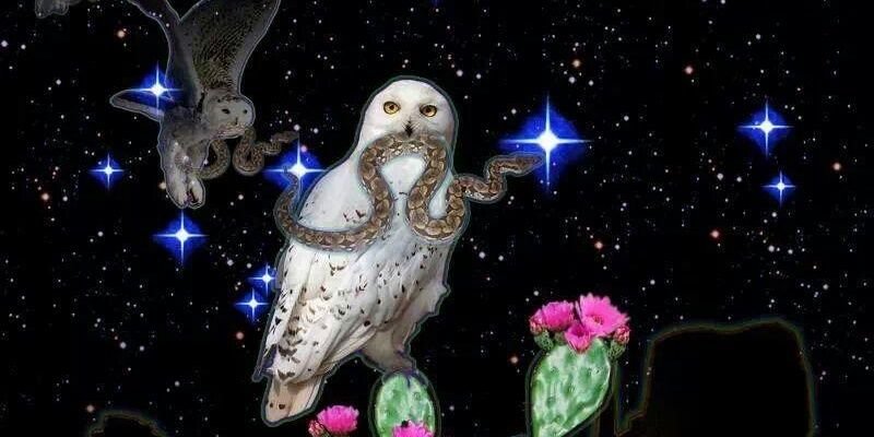 yeshnavo's profile banner image