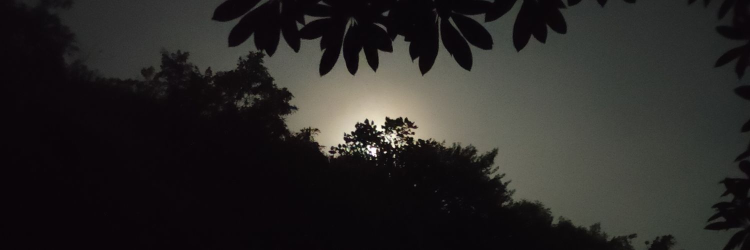 Devavasthi's profile banner image