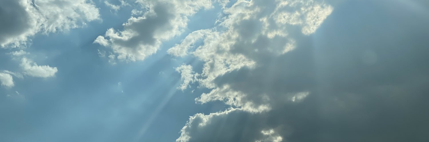 pineappplllee's profile banner image
