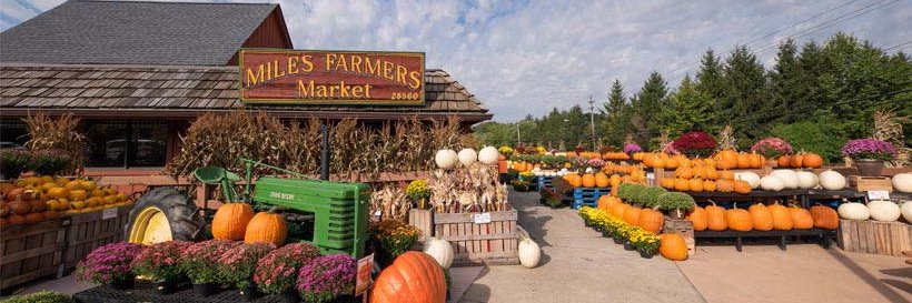 MilesFarmersMkt's profile banner image