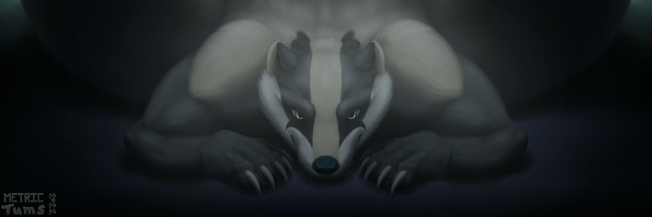wixter banner