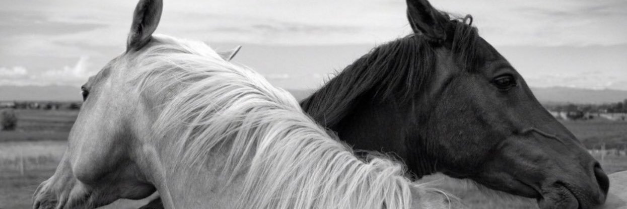 aabbod_5's profile banner image