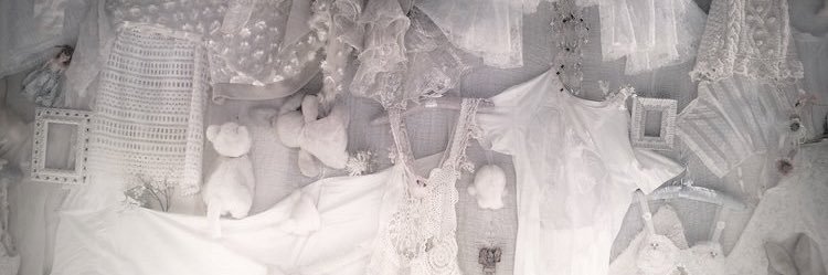pawpetite's profile banner image