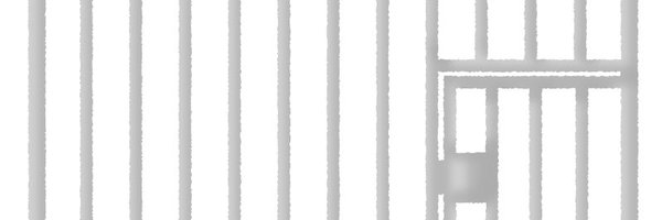 puteneko Profile Banner