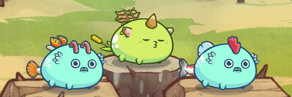 Joco AxieLS | Axie.gg banner