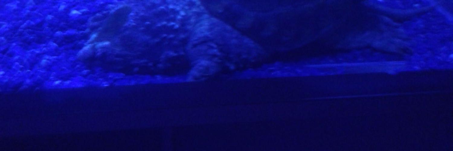 e730ag's profile banner image
