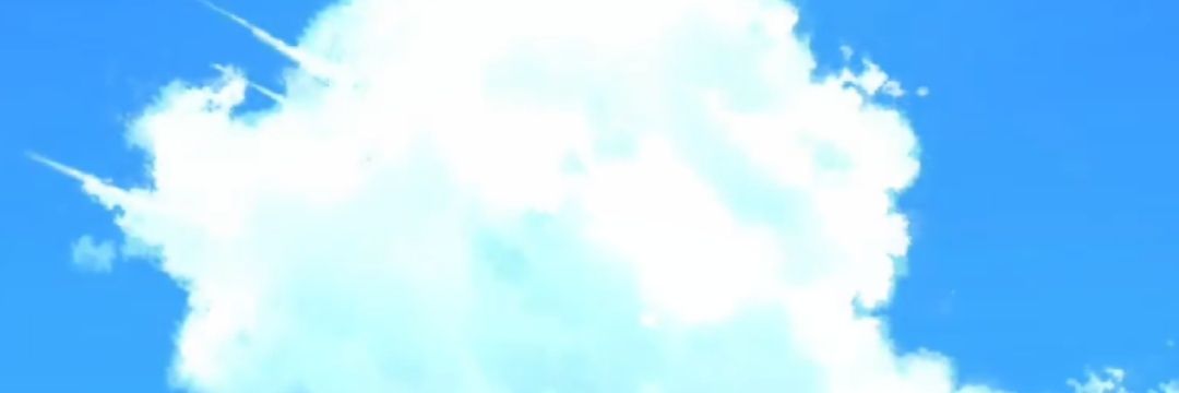 tanukittyn's profile banner image