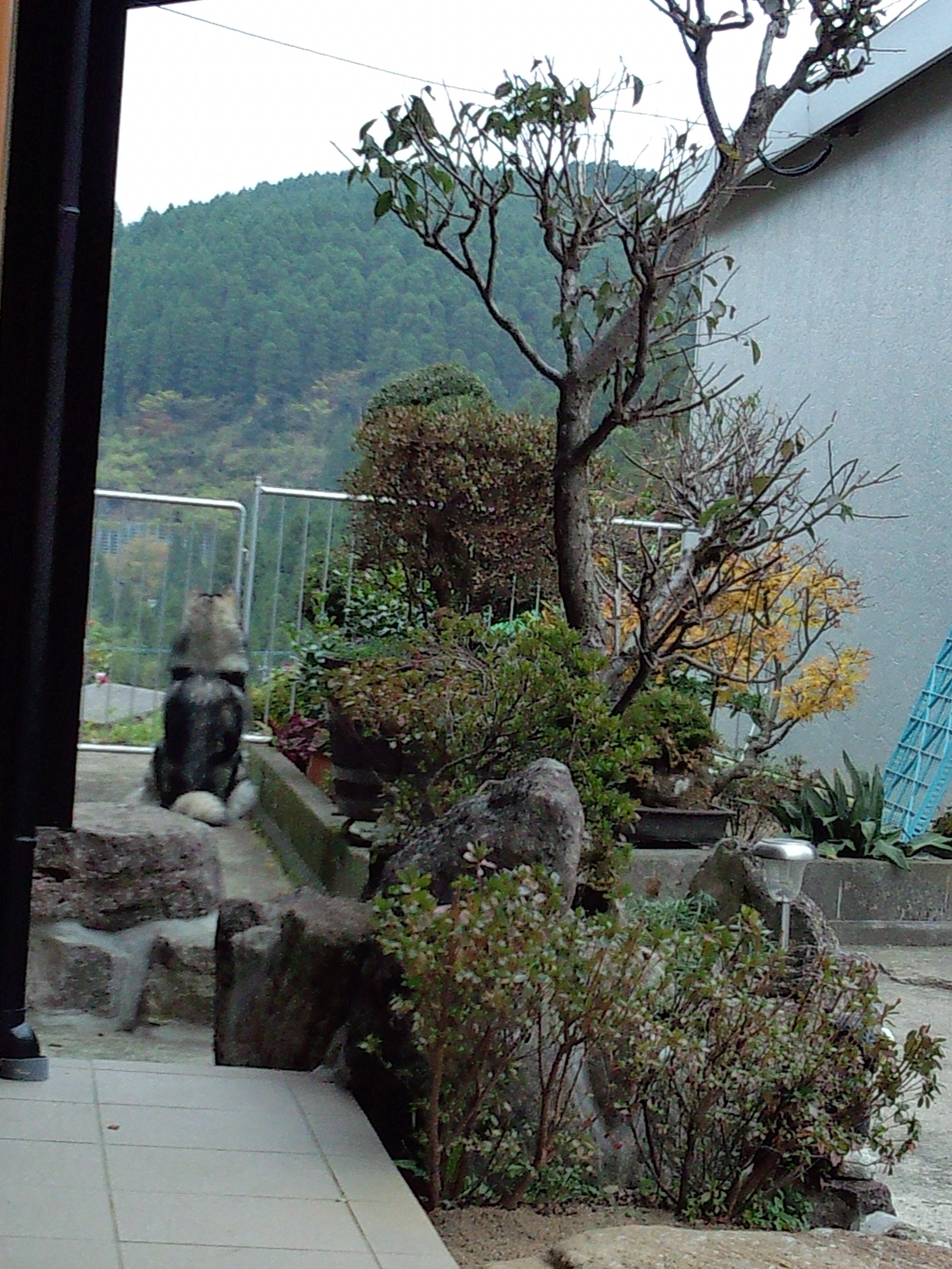 リーヴェ banner