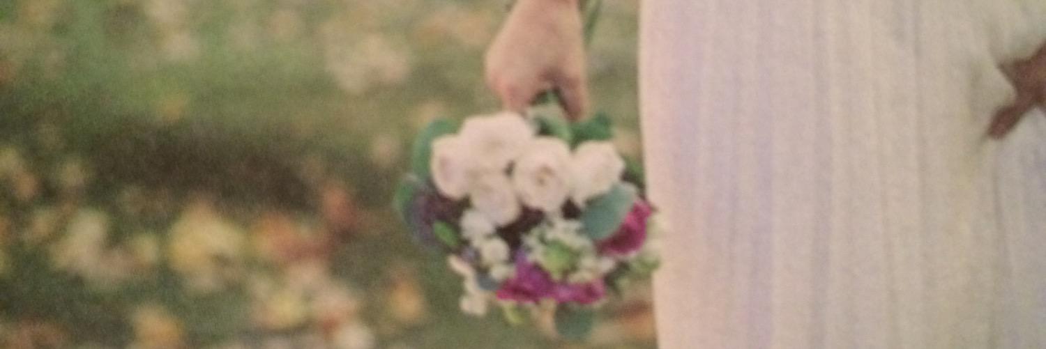 miyangt's profile banner image