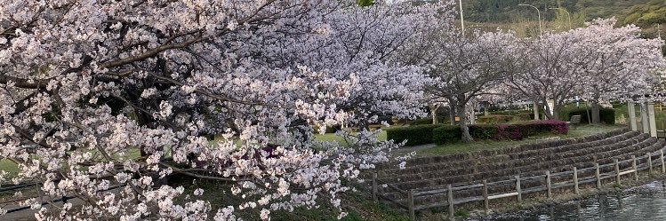 レスられ活動家 banner