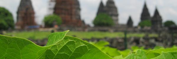 khafi Profile Banner