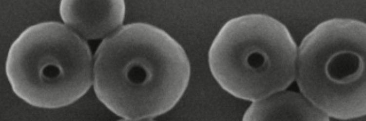 Ievgen Pylypchuk banner