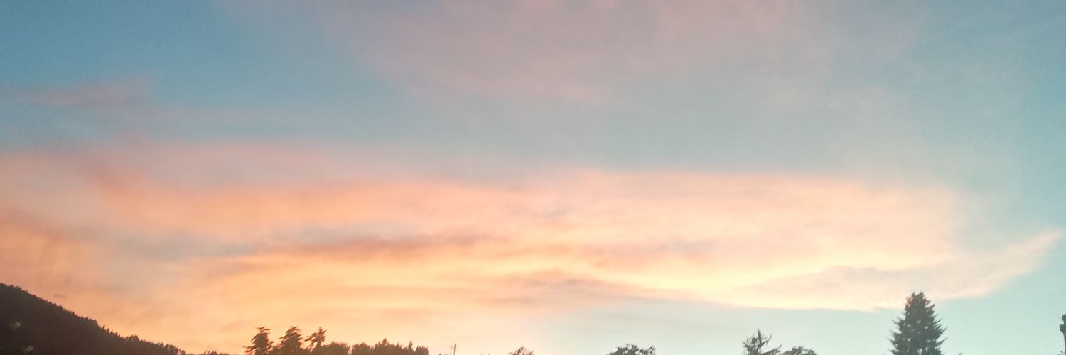 FrancisLertora's profile banner image
