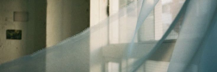 / banner