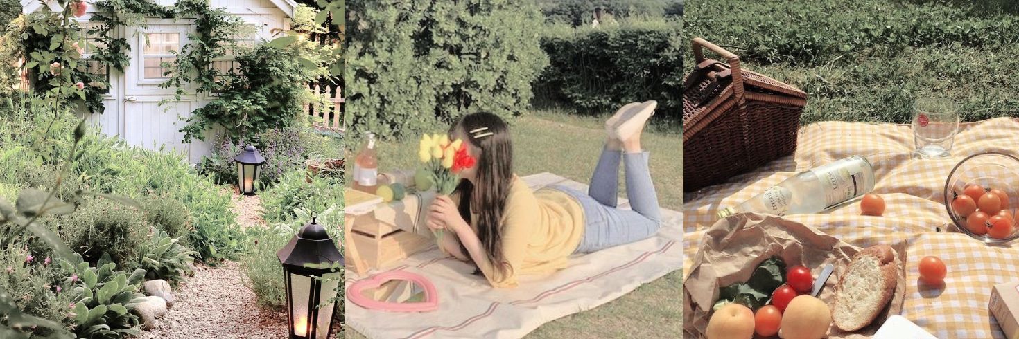 lvisme_'s profile banner image