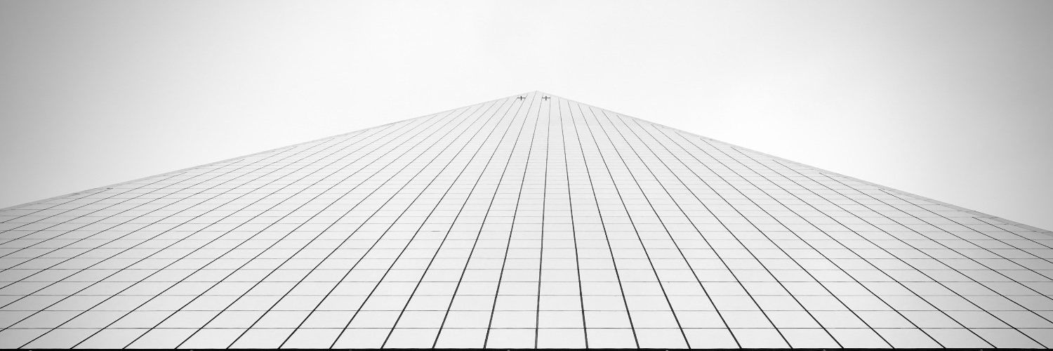 Steven Michael Anderson banner