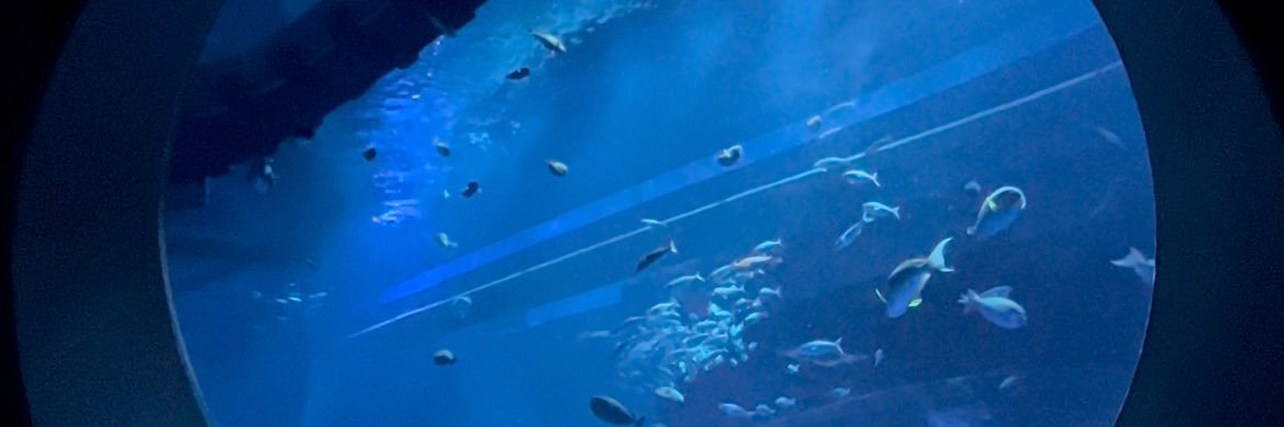 なの's banner