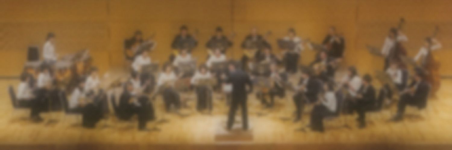 YME_mandolin's profile banner image
