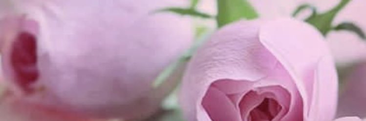 durupolat's profile banner image