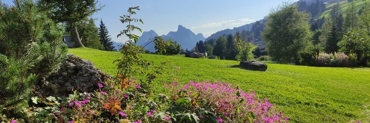 Dr_droy.Ter💚 banner