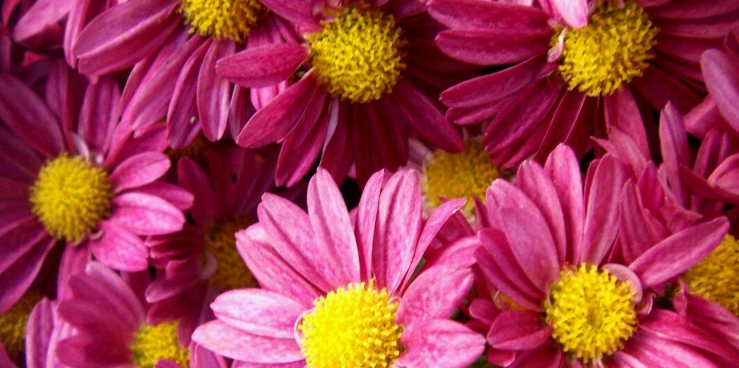 beatrizmg1990's profile banner image