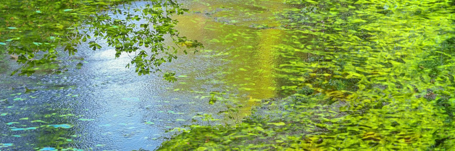 r.e.g.i.n.aCaptures banner