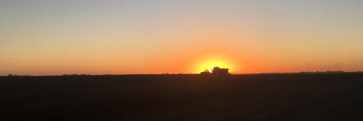 Matthew Carter banner