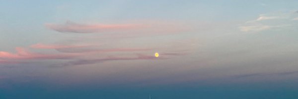 amchatterjeee Profile Banner